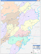 St. Clair County Wall Map Color Cast Style